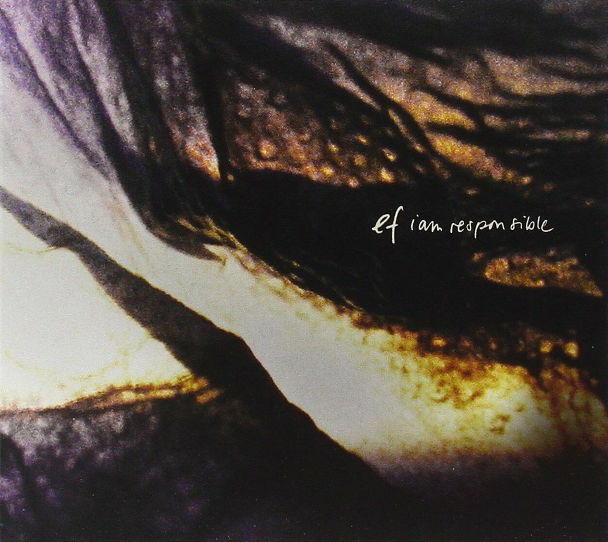 EF - I Am Responsible [CD]