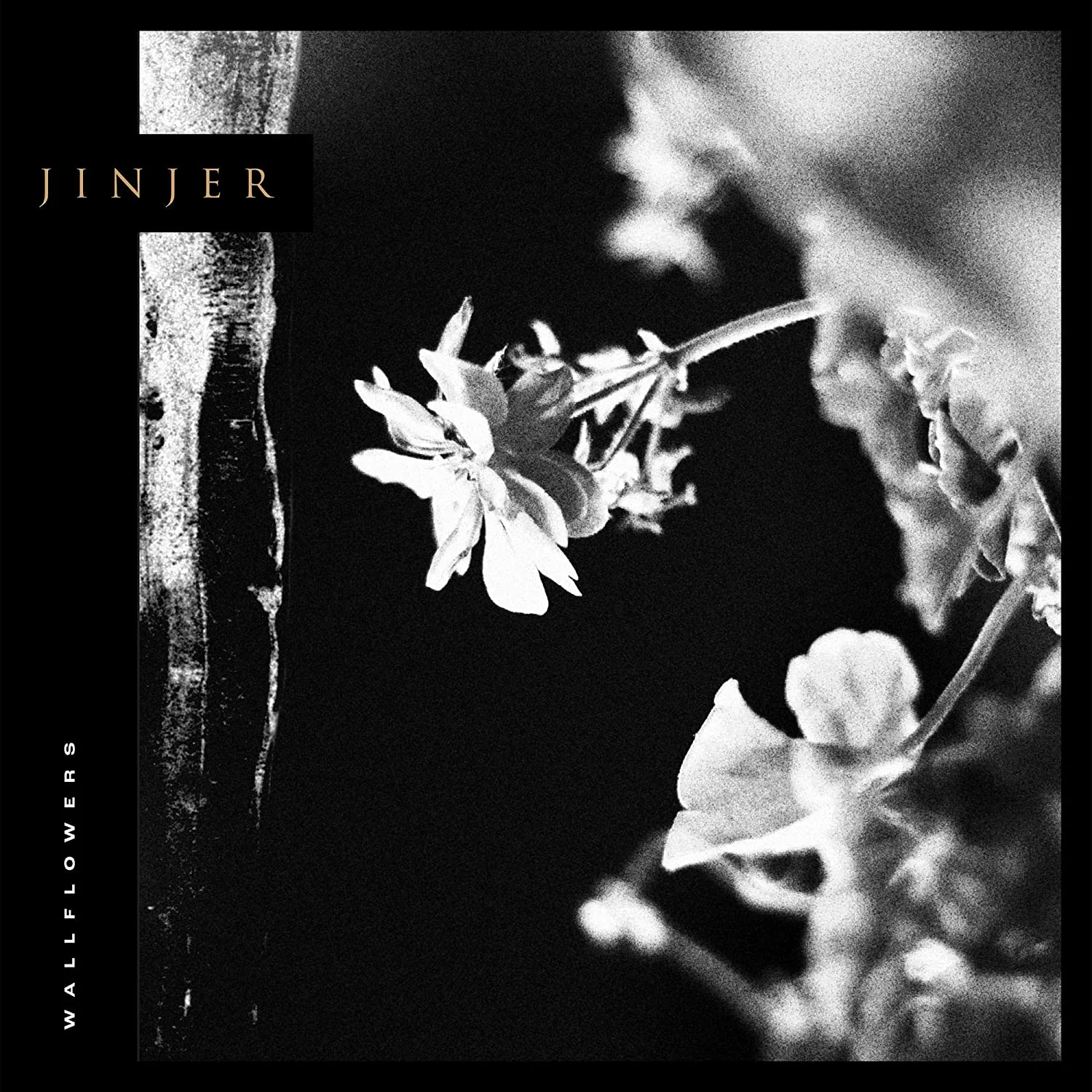 JINJER - Wallflowers [BLACK LP]