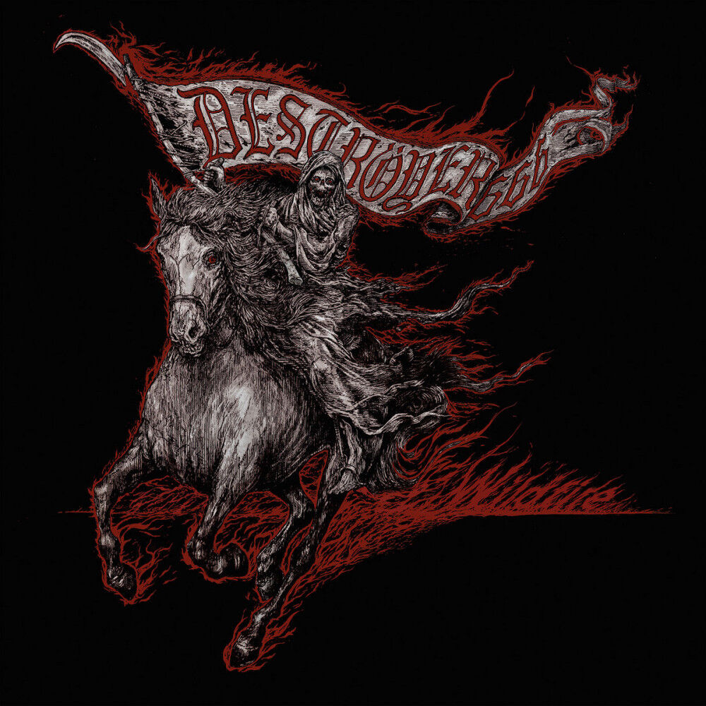 DESTRÖYER 666 - Wildfire [SILVER/BLACK LP]