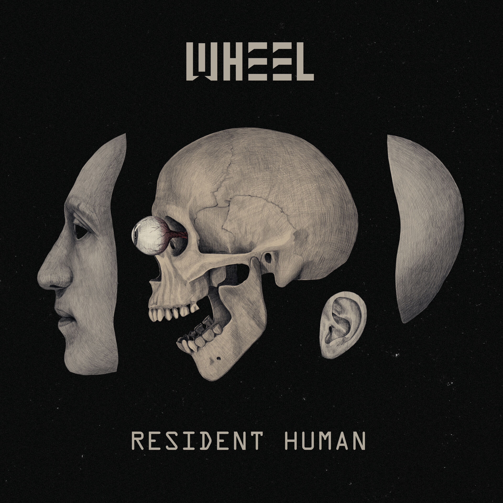 WHEEL - Resident Human [BLACK DLP]
