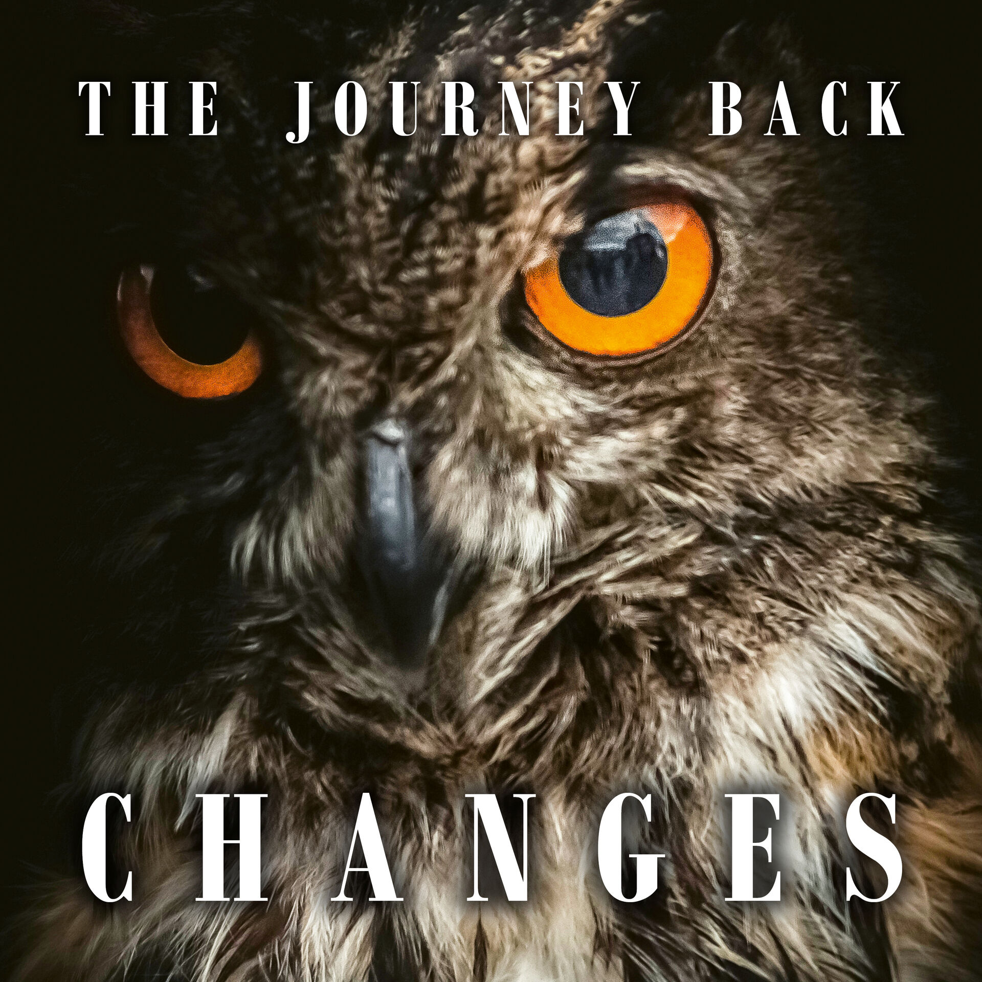 THE JOURNEY BACK - Changes [DIGIPAK CD]