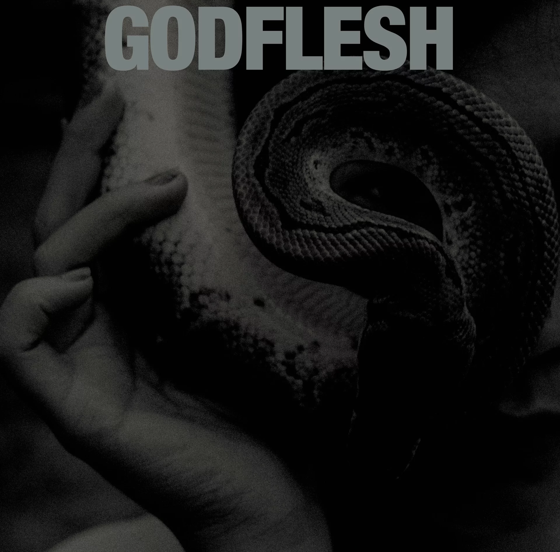 GODFLESH - Purge [BLACK LP]