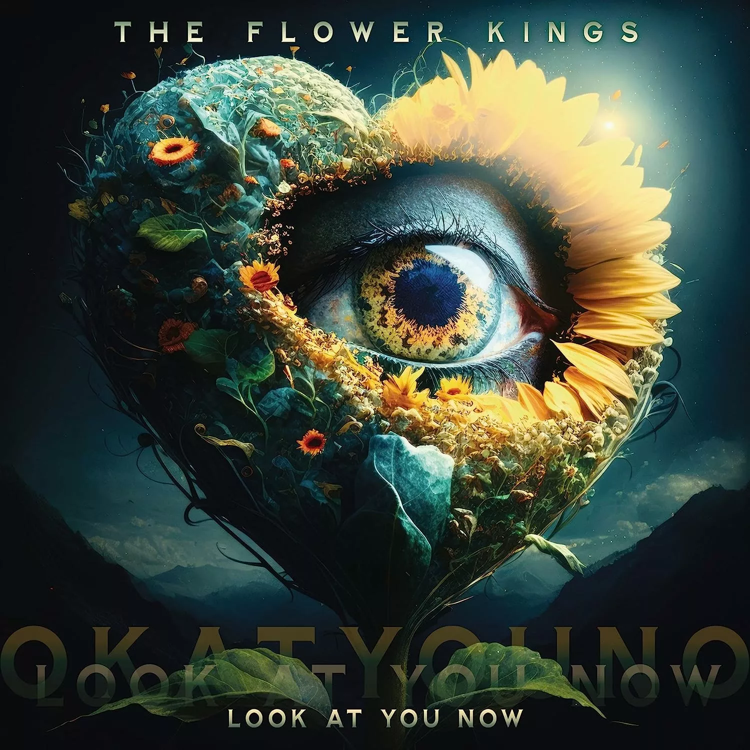 THE FLOWER KINGS - Look At You Now [BLACK DOUBLE VINYL]