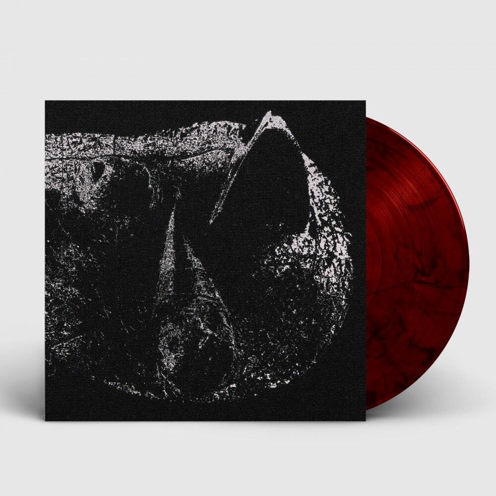 DEMON HEAD - Viscera [RED BLACK LP]