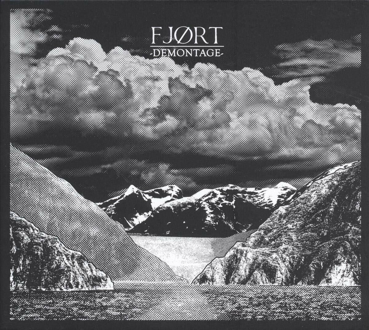 FJORT - Demontage  [BLACK LP]